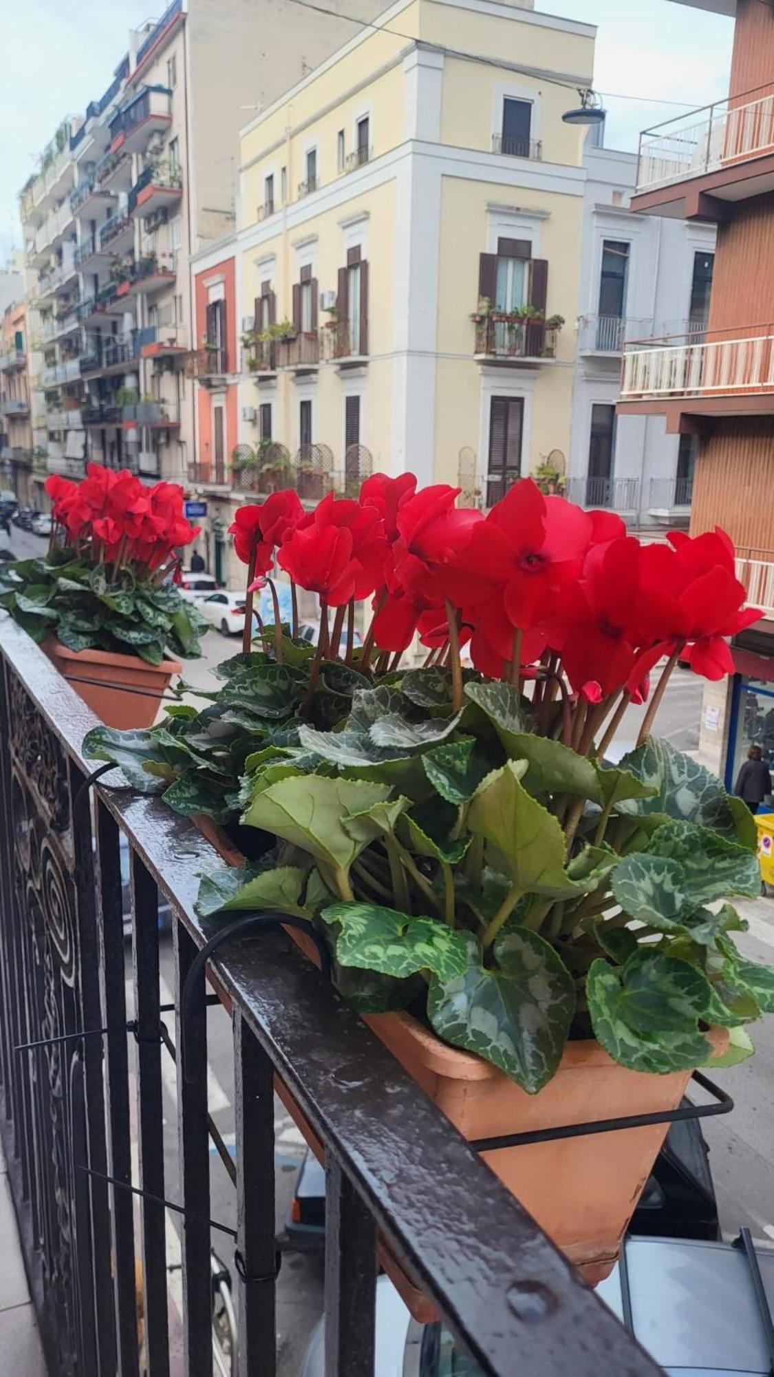 Apartmán Volare House Bari Exteriér fotografie